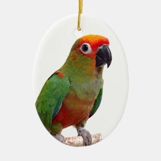 Golden-mit einer Kappe bedecktes conure Keramikornament (Vorne)