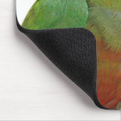 Golden-mit einer Kappe bedecktes conure Mousepad (Ecke)