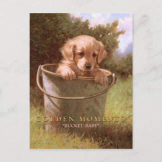 GOLDEN MOMENTS POSTKARTE