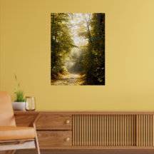 Golden Morning Park, Original-Foto-Kunstfotografie