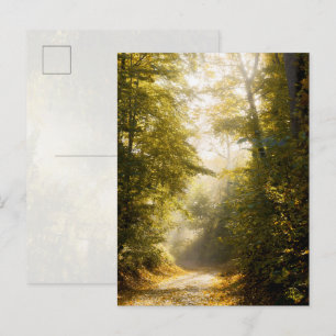 Golden Morning Park, Original-Foto-Kunstfotografie Postkarte
