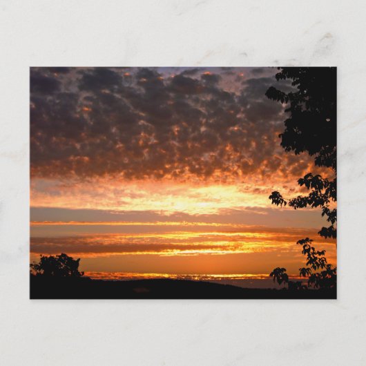 Golden Morning Postkarte (Vorderseite)