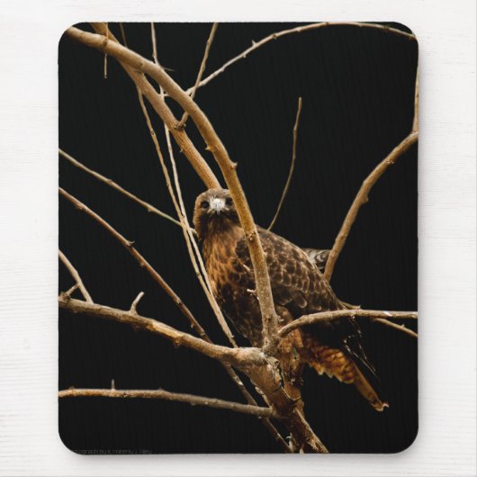 Golden Mousepad (Vorne)