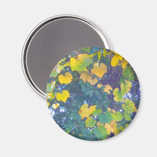 GOLDEN NAH MAGNET (Vorderseite/Rückseite)