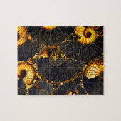 Golden Nautilus Puzzle (Horizontal)