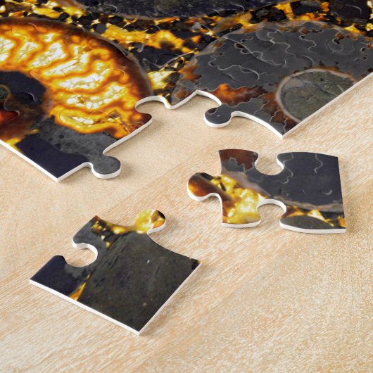 Golden Nautilus Puzzle (Seite)