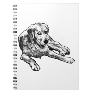 Golden Notes mit Dot Charm Notizblock