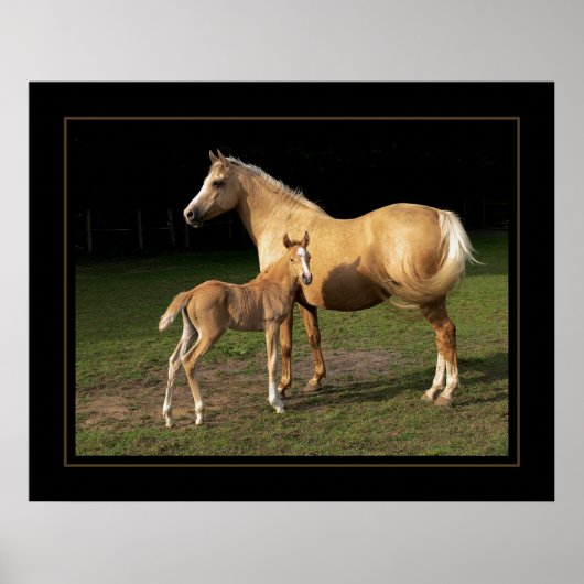 Golden Nugget Poster (Vorne)