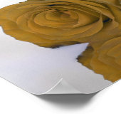 Golden Ocker Rose 6 Tabelle Seekarte Poster (Ecke)