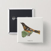 Golden oder Baltimore Oriole (Icterus galbula) Button (Vorne & Hinten)