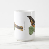 Golden oder Baltimore Oriole (Icterus galbula) Kaffeetasse (Mittel)