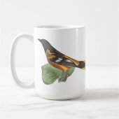 Golden oder Baltimore Oriole (Icterus galbula) Kaffeetasse (Links)