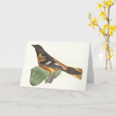 Golden oder Baltimore Oriole (Icterus galbula) Karte (Gelbe Blume)
