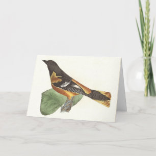 Golden oder Baltimore Oriole (Icterus galbula) Karte