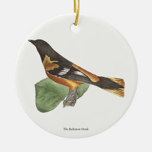 Golden oder Baltimore Oriole (Icterus galbula) Keramik Ornament (Vorne)