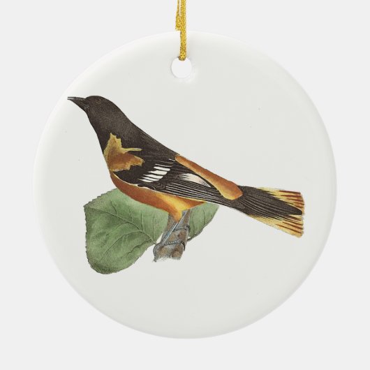 Golden oder Baltimore Oriole (Icterus galbula) Keramik Ornament (Hinten)