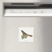 Golden oder Baltimore Oriole (Icterus galbula) Magnet (In Situ (Geschirrspüler))