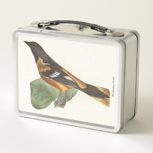 Golden oder Baltimore Oriole (Icterus galbula) Metall Brotdose