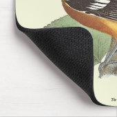 Golden oder Baltimore Oriole (Icterus galbula) Mousepad (Ecke)