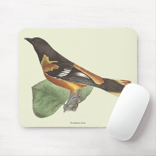 Golden oder Baltimore Oriole (Icterus galbula) Mousepad (Mit Mouse)