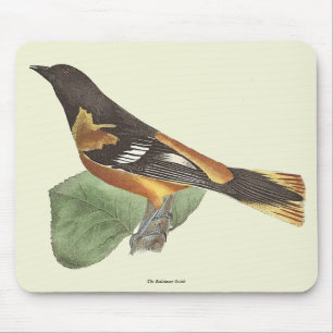 Golden oder Baltimore Oriole (Icterus galbula) Mousepad