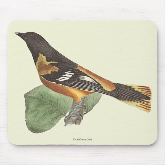 Golden oder Baltimore Oriole (Icterus galbula) Mousepad (Vorne)