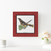 Golden oder Baltimore Oriole (Icterus galbula) Quadratische Wanduhr (Zuhause)