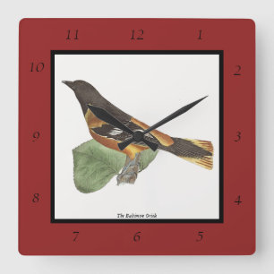 Golden oder Baltimore Oriole (Icterus galbula) Quadratische Wanduhr