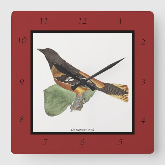 Golden oder Baltimore Oriole (Icterus galbula) Quadratische Wanduhr (Vorderseite)
