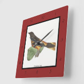 Golden oder Baltimore Oriole (Icterus galbula) Quadratische Wanduhr (Winkel)