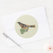 Golden oder Baltimore Oriole (Icterus galbula) Runder Aufkleber (Umschlag)