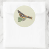 Golden oder Baltimore Oriole (Icterus galbula) Runder Aufkleber (Tasche)
