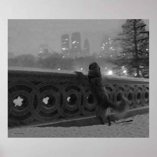 Golden on Bow Bridge in Snow Poster (Vorne)