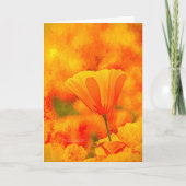 Golden Orange California Mohn "Land of Orange" Karte (Vorderseite)