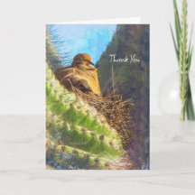 Golden Orange California Mohn "Land of Orange"