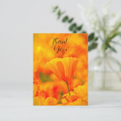 Golden Orange California Mohn "Land of Orange" Postkarte (Stehend Vorderseite)