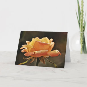 Golden Orange Rose Scripture Card Psalm 145:10 Karte