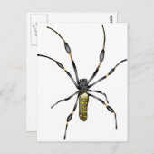Golden Orb Spider Postkarte (Vorne/Hinten)