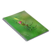 Golden Orb Weaver Spider Notebook Notizblock (Rechte Seite)