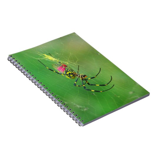 Golden Orb Weaver Spider Notebook Notizblock (Rechte Seite)