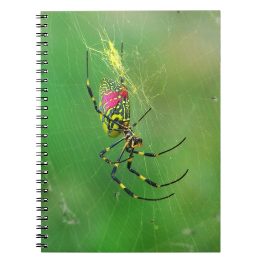 Golden Orb Weaver Spider Notebook Notizblock (Vorderseite)