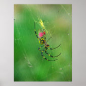 Golden Orb Weaver Spider Poster (Vorne)