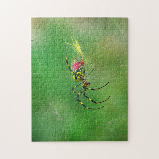 Golden Orb Weaver Spider Puzzle (Vertikal)