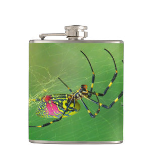 Golden Orb Weaver Spinner Flasche Flachmann