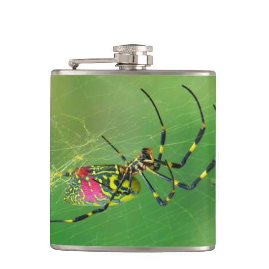Golden Orb Weaver Spinner Flasche Flachmann (Vorderseite)