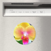 Golden Orchid durch Power Blume Magnet (In Situ (Geschirrspüler))