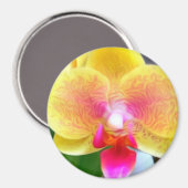 Golden Orchid durch Power Blume Magnet (Vorderseite/Rückseite)