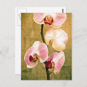 Golden Orchio Postkarte (Vorne/Hinten)