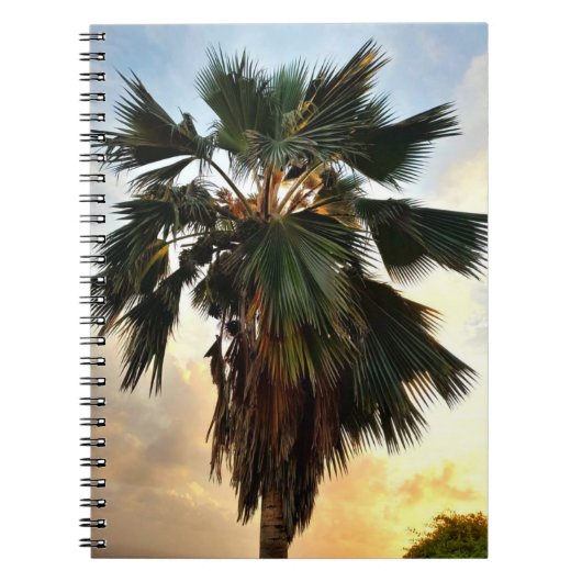 Golden Palm Sky - Tropical Spiral Notebook Notizblock (Vorderseite)