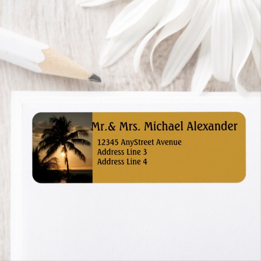 Golden Palm Tree Sunset (Insitu)